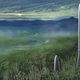 Illustration for article titled The Technology That Will Build Our Future May Be Found In Mushrooms